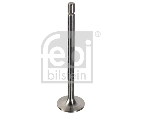 Intake Valve
